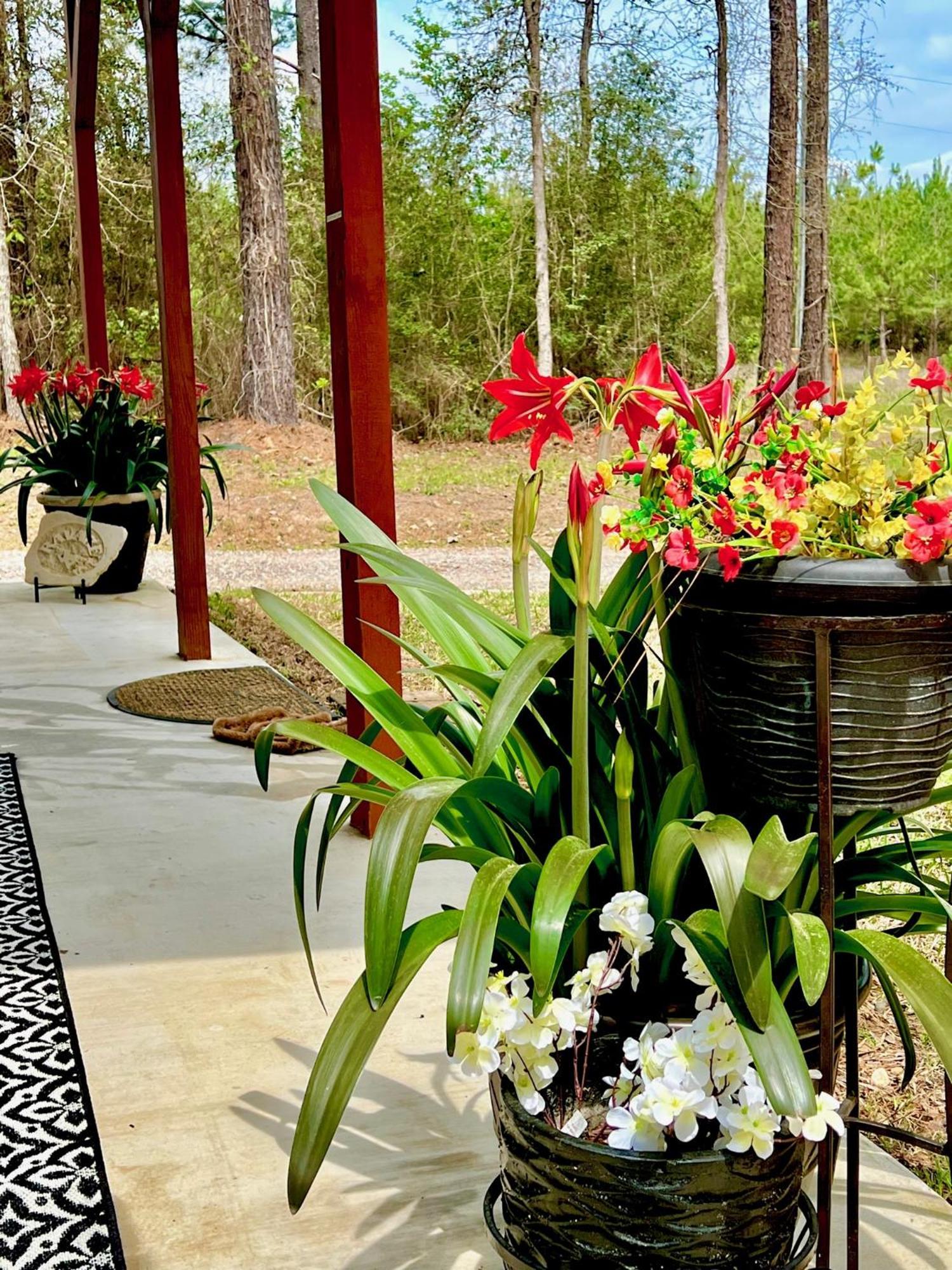 Вилла A Tranquil Retreat Loaded With Ambiance! Sleeps 10 Platt Экстерьер фото